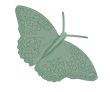 Butterfly Bullet Icon