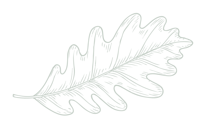 Leaf Icon for Website