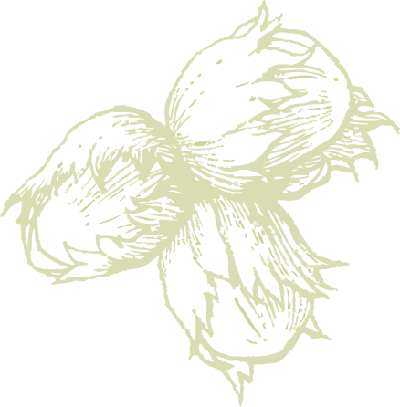 Nature Icon