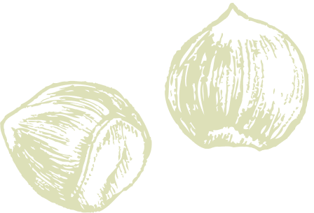 Nuts Image