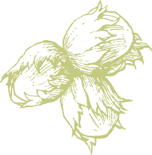 Plants Icon