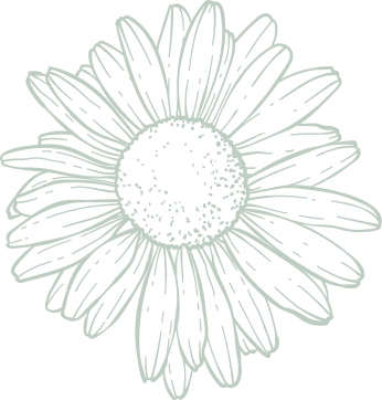 Sunflower Vector