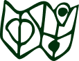 Vector