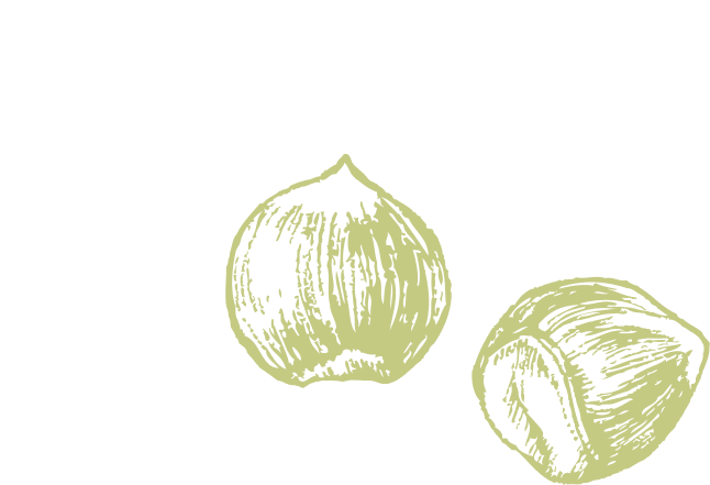 svg1