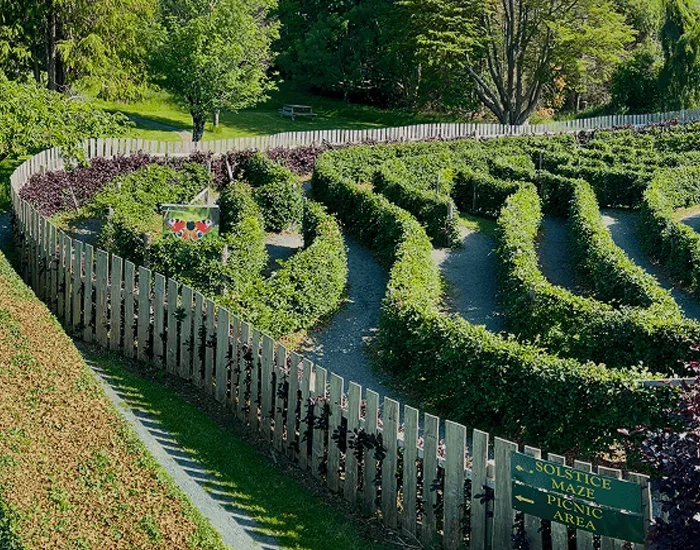 Maze Section