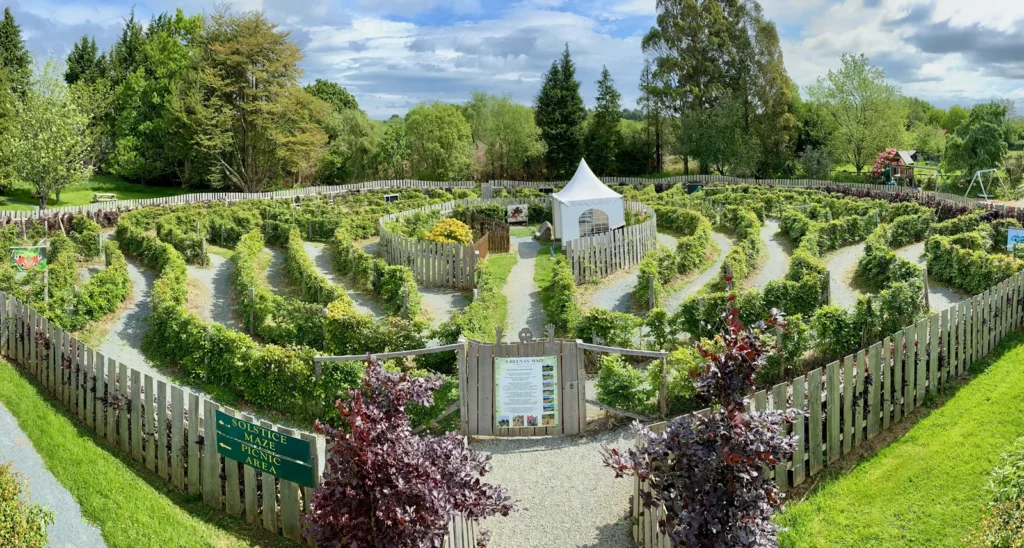 maze image