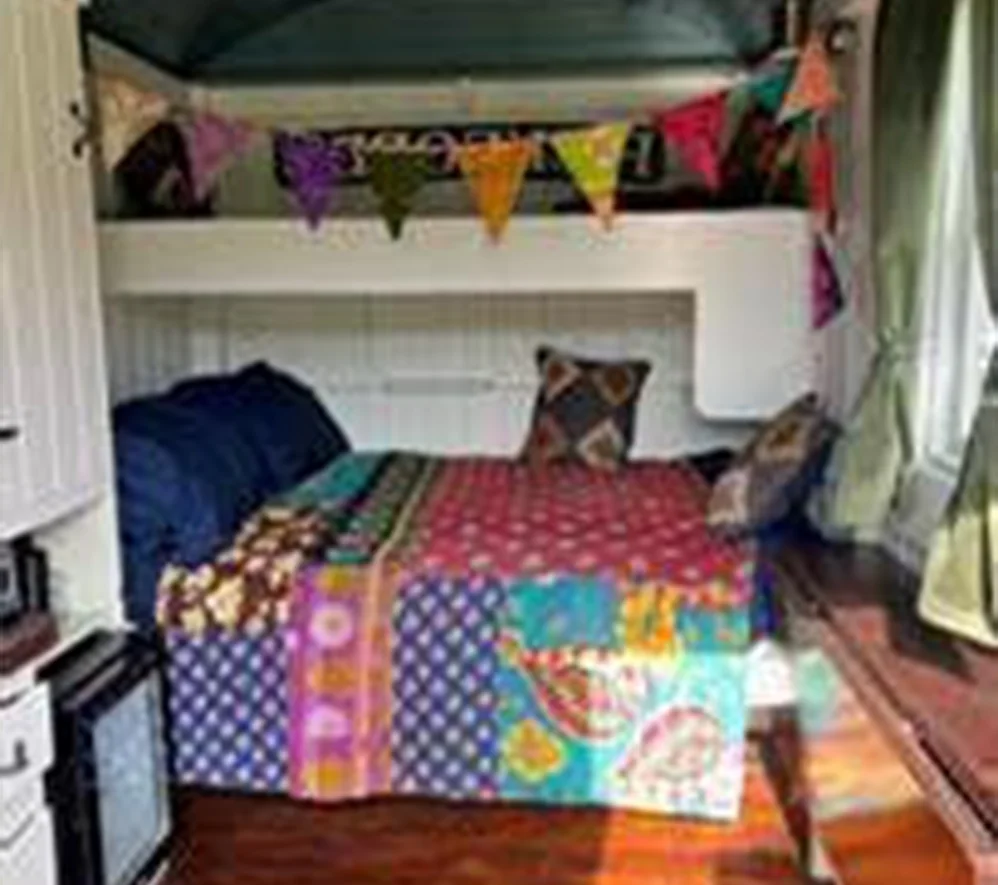 TREE Shepherds Hut 2