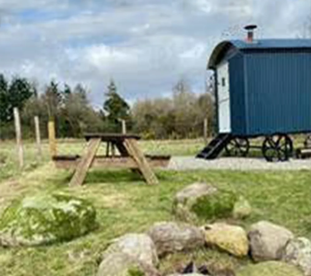 TREE Shepherds Hut